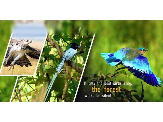 Best Luxury Hotels and Resorts in Jim Corbett National Park.