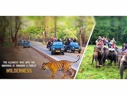 Best Luxury Hotels and Resorts in Jim Corbett National Park. - Image 3