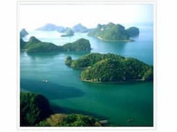 03 Nights/04 Days Package “Port Blair” - Image 4