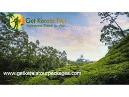kerala tour packages | tour packages in kerala | kerala packages -9871411233 - Image 6