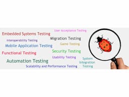 Ecommerce Website Design and Development Maharashtra, India - Image 7