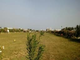 APPROVED PLOTS FOR SALE - Image 1