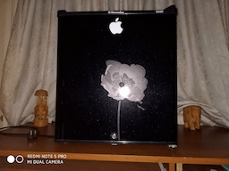 Electrolux EC060P 47 Ltr, Single Door Refrigerator Mini Fridge - Image 1