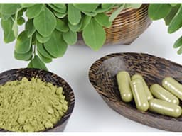 Grenera Moringa Tea & Tea Bags - Moringa Wholesale - Image 5