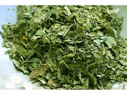 Grenera Moringa Tea & Tea Bags - Moringa Wholesale - Image 6
