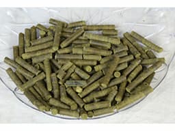 Grenera Moringa Tea & Tea Bags - Moringa Wholesale - Image 8