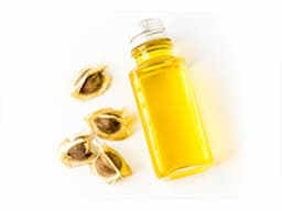 Grenera Moringa Tea & Tea Bags - Moringa Wholesale - Image 10