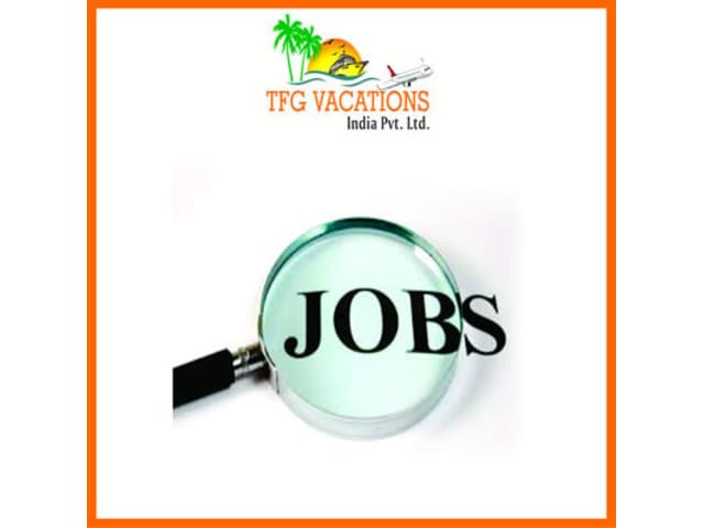 Make Your Spare Time Fun Filled and Productive Too