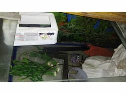 Fish Tank 3feet - Image 2