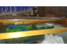 Fish Tank 3feet - Image 3