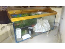 Fish Tank 3feet - Image 4