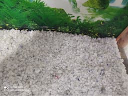 Fish aquarium with stones , decoration band accessories - Image 1