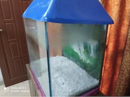 Fish aquarium with stones , decoration band accessories - Image 2