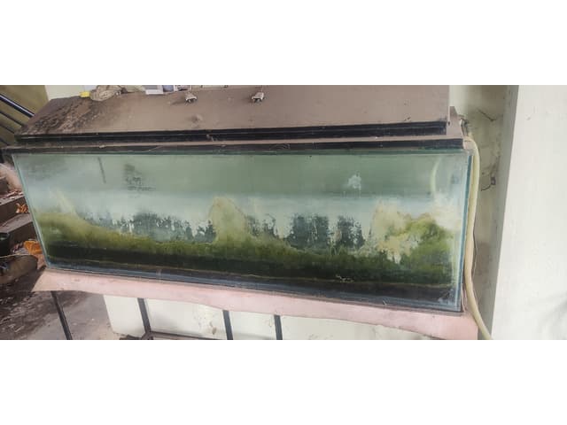 Fish tank 5ft with stand top cover and stand