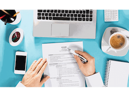 Best professional resume writing service - Image 1