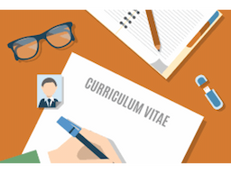 Best professional resume writing service - Image 4