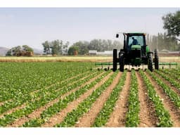 Farm Insurance in Melbourne- JLC General Insurance - Image 1