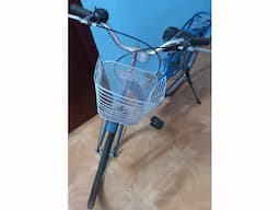 One year old BSA Lady Bird bicycle for sale - Image 1