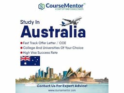 Course Mentor-Study Abroad - Image 3