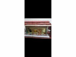 Fish tank full set - Image 1