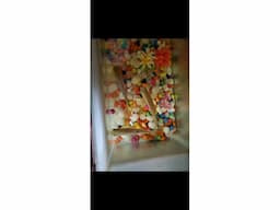 Fish tank full set - Image 2