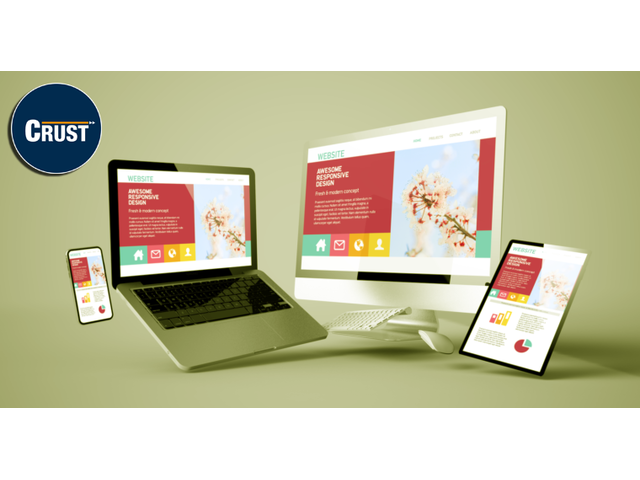 Best Web Designing Service - CRUST Web Designers