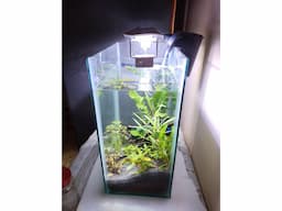 PLANTED AQUARIUM FOR SALE - Image 1