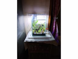 PLANTED AQUARIUM FOR SALE - Image 2