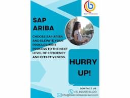 Learn SAP Ariba online training with Best Online Career - Image 1