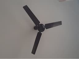Ceiling Fans - Image 1