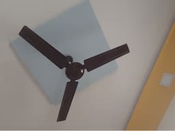 Ceiling Fans - Image 2