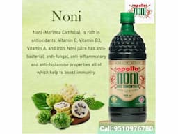 HEALTH BENEFITS  OF APOLLO NONI JUICE - Image 8