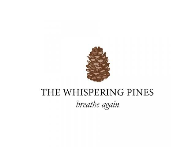 "The Whispering Pines - Luxurious housing property in Himachal Pradesh"