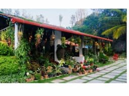 Best Resorts in Chickmangulur !Best Hotels in Chickmangulur | - Image 7