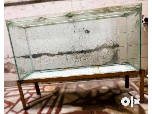 Aquarium with Stand | Premium Thick Glass with Rustfree Iron Stand