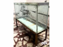Aquarium with Stand | Premium Thick Glass with Rustfree Iron Stand - Image 5
