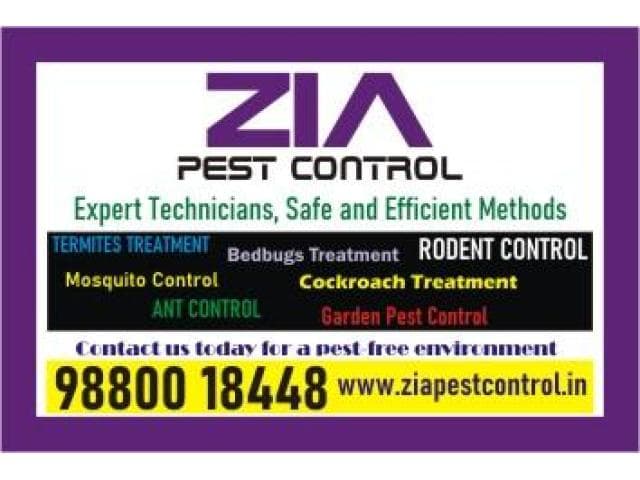 Bedbug Treatment services in bangalore | Zia Pest Control  | 1812