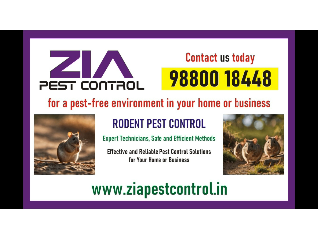 Pest Control | get rid of pests | pest-free environment Zia  | 1734