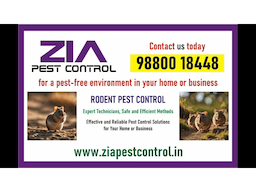 Pest Control | get rid of pests | pest-free environment Zia  | 1734 - Image 2