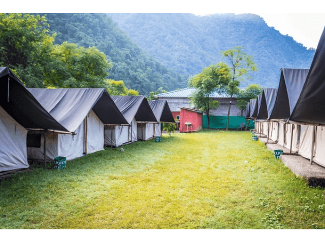 Luxury Riverside Camping in Rishikesh!
