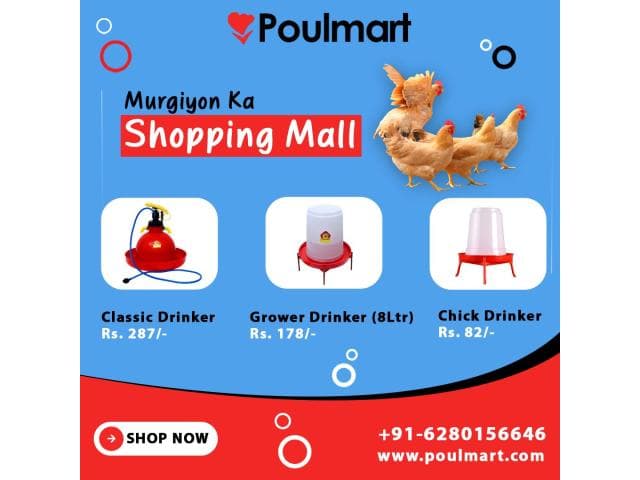 Poulmart | Murgiyon ka Shopping Mall