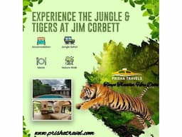 Tempo Traveller Hire Delhi - Image 1