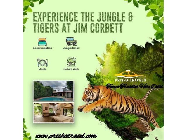 Tempo Traveller Hire Delhi