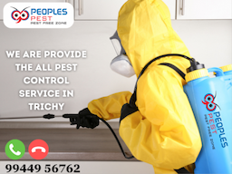 Best Pest control in Trichy - Image 2