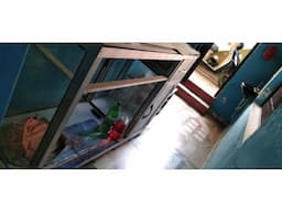 shop counter - Image 3