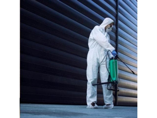 Termite Pest Control Melbourne by Vanguard Eco Solutions – Long-Term Termite Prevention