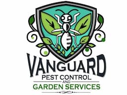 Termite Pest Control Melbourne by Vanguard Eco Solutions – Long-Term Termite Prevention - Image 2