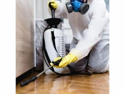 Termite Pest Control Melbourne by Vanguard Eco Solutions – Long-Term Termite Prevention - Image 3