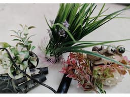 Fish Acquarium - Image 2