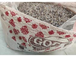 Fish Acquarium - Image 3